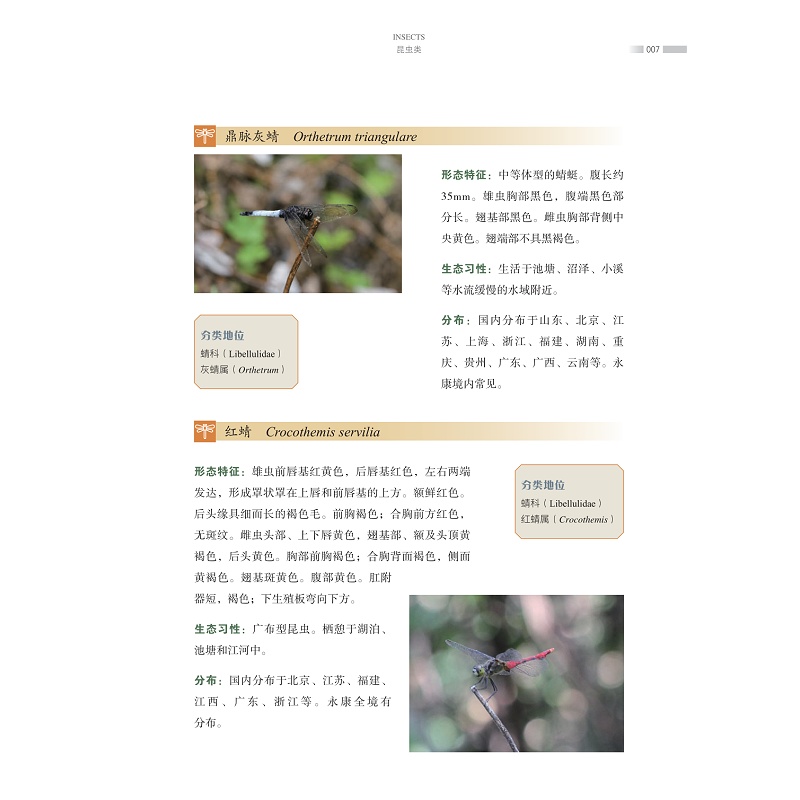 试读PDF-9787308270007(1-1)-永康野生动物图鉴 昆虫卷_023.jpg