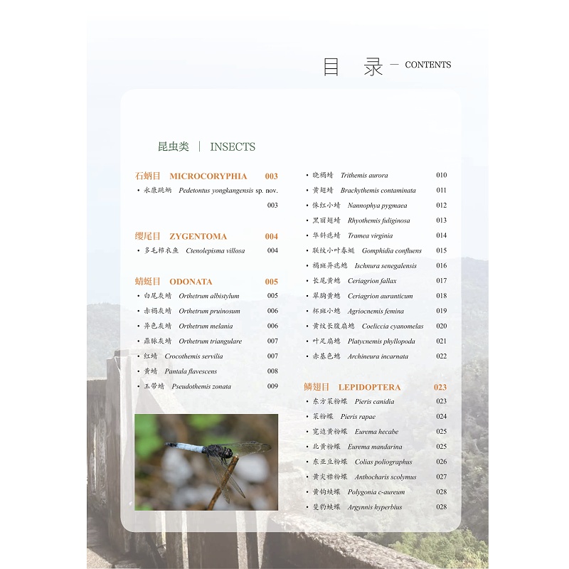 试读PDF-9787308270007(1-1)-永康野生动物图鉴 昆虫卷_011.jpg