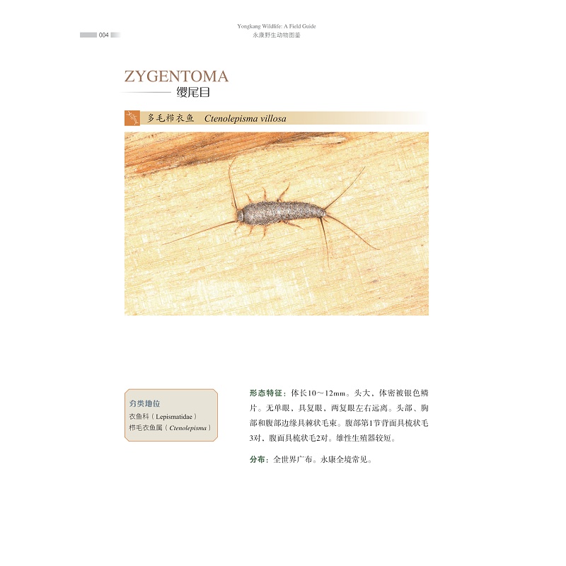 试读PDF-9787308270007(1-1)-永康野生动物图鉴 昆虫卷_020.jpg