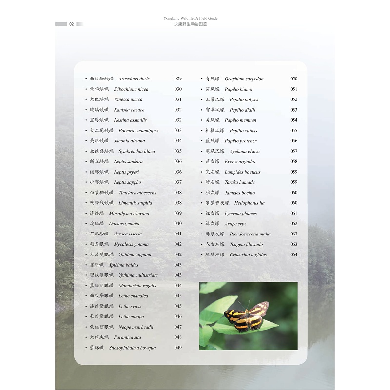 试读PDF-9787308270007(1-1)-永康野生动物图鉴 昆虫卷_012.jpg