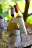 白葡萄酒 | 维欧尼干白葡萄酒2024 商品缩略图0