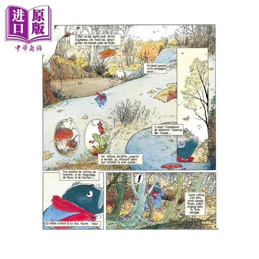 【中商原版】【法文版】柳林风声典藏版 图像小说 法国漫画家Michel Plessix 绘 Le Vent dans les saules Edition prestige 原版 商品图1