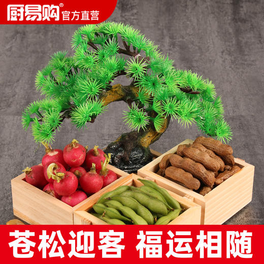 造景大师系列—唯美【迎客松】 随手一放即可绽放唯美！ 商品图0
