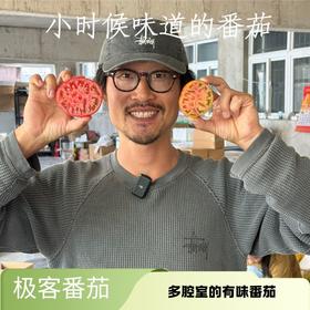 【即将结束❗️❗️】【排单发货】极客番茄丨六号果酸甜浓郁，适合生吃。这会儿口感相对春天滋味会淡一些，尝鲜还是很不错的。三号果皮薄多汁，生吃/炒菜。新鲜现摘现发⭐️京东快递