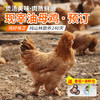 【预定5月29日宰杀】北京油母鸡纯粮食喂养土鸡 粮食鸡 肉质鲜嫩 适合煲汤  可整鸡可切块 商品缩略图0