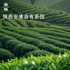 西域美农 虫鸣小绿瓶抹茶粉1盒 送打发器  陕西 杭州两仓随机发 商品缩略图10