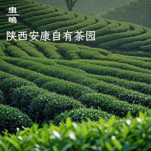 西域美农 虫鸣小绿瓶抹茶粉1盒 送打发器  陕西 杭州两仓随机发 商品图10