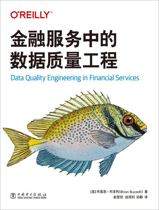金融服务中的数据质量工程 商品图1
