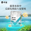 华畜亚硝克500g 降解亚硝酸盐 商品缩略图2