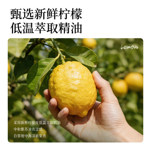 全食物日记 黄标（非有机）柠檬风味紫苏籽调味油 500ml 商品图1