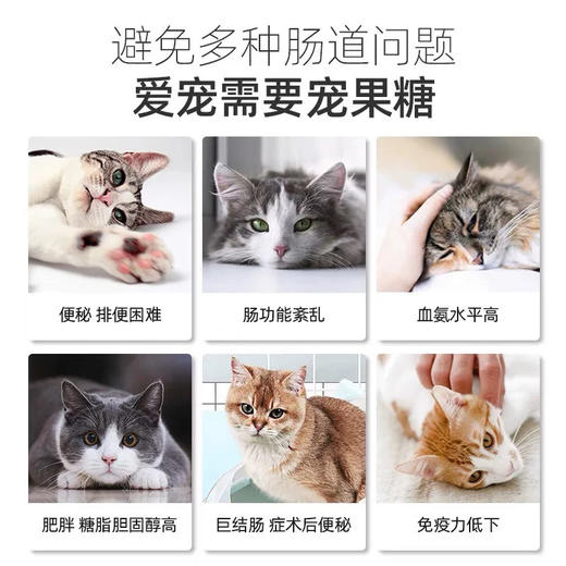 爱迪森宠果糖宠物乳果糖 便秘排泄困难 犬猫通用60ml/瓶 商品图1