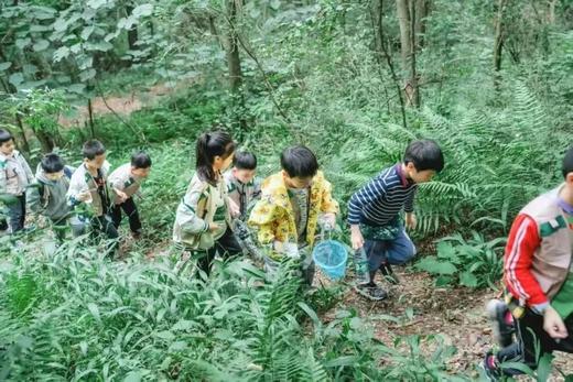 5.24已成团❗️大邑雁鹅村：徒步采摘青梅、制作青梅露、小河玩水…… 商品图4