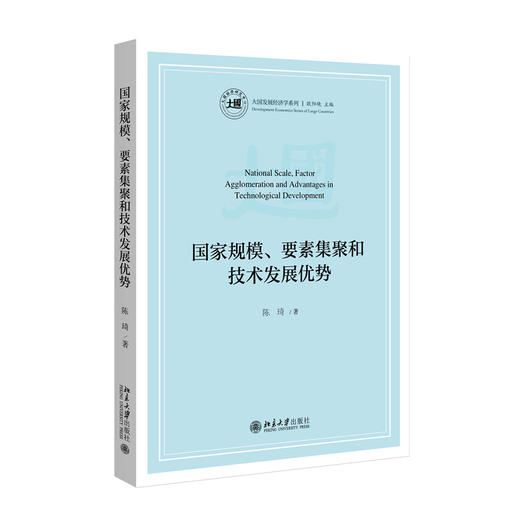 国家规模、要素集聚和技术发展优势  大国发展经济学系列  陈琦 著  北京大学出版社 商品图3