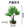 造景大师系列—唯美【迎春树】 随手一放即可绽放唯美！ 商品缩略图2