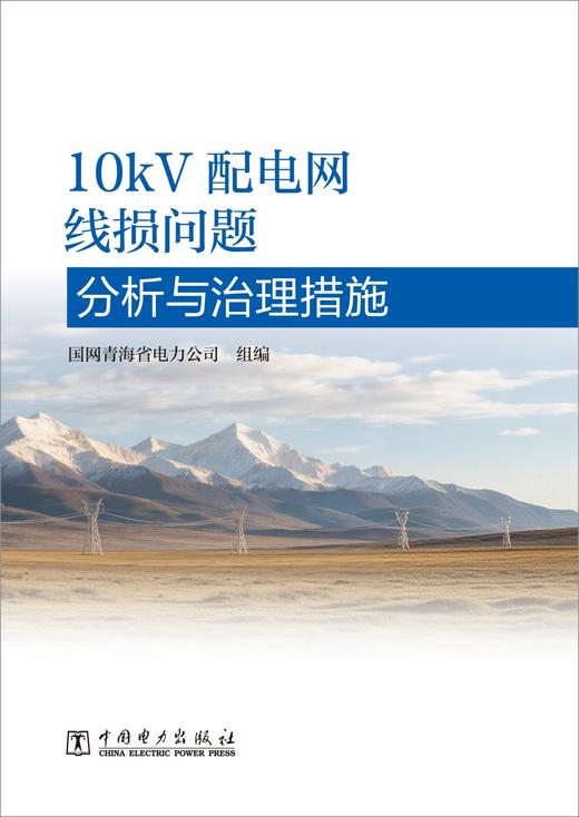 10kV配电网线损问题分析与治理措施 商品图1