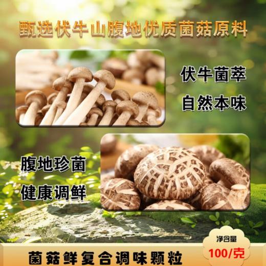 明天菌菇鲜复合调味料 100克/瓶*2 商品图3