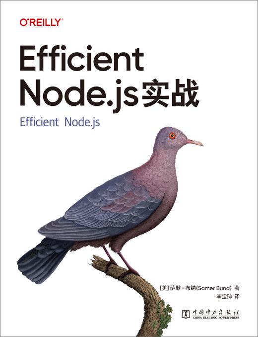 Efficient Node.js实战 商品图2