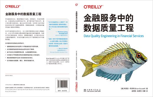 金融服务中的数据质量工程 商品图2