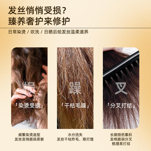 【百年国货出品，买就送小样】片仔癀 缓滋养去屑洗发乳 + 修护滋养护发精华乳 国药老牌 抑菌去屑 植萃养护 修护受损 减少断发 商品图5