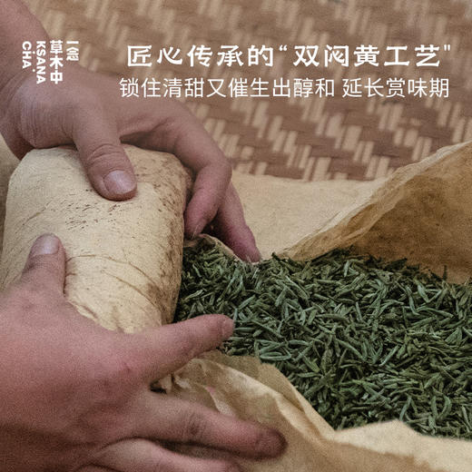 【茶品上新】望君山·黄小茶 | 进阶原叶系列 | 50g原叶 | 黄茶类 商品图2