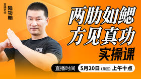 两肋如鳃，方见真功——直播教学（陆师亲授）