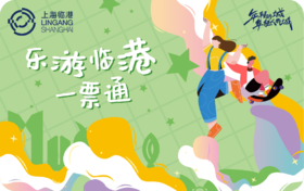 2026-2027《乐游临港一票通》惠民卡