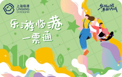 2026-2027《乐游临港一票通》惠民卡 商品图0