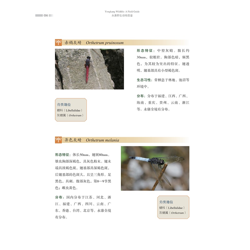 试读PDF-9787308270007(1-1)-永康野生动物图鉴 昆虫卷_022.jpg