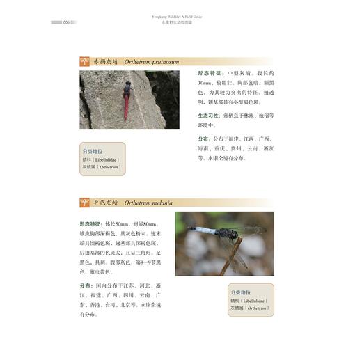 永康野生动物图鉴/郑荣泉 陈敏 著/浙江大学出版社 商品图4