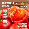 【顺丰】西域美农泾阳普罗旺斯西红柿plus 水果西红柿 商品缩略图0