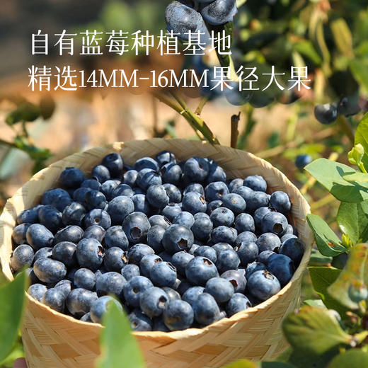 【健康低卡 蓝莓果酱】酸甜清爽 不腻不齁 可搭配面包/酸奶 商品图5