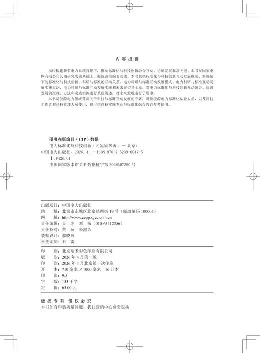 电力标准化与科技创新 商品图3