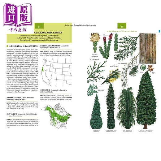 【中商原版】北美西部树木 平装 Trees of Western North America 英文原版 Richard Spellenberg 自然百科 商品图1