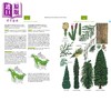 【中商原版】北美西部树木 平装 Trees of Western North America 英文原版 Richard Spellenberg 自然百科 商品缩略图3