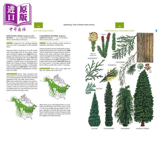 【中商原版】北美西部树木 平装 Trees of Western North America 英文原版 Richard Spellenberg 自然百科 商品图3