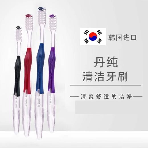 丹纯 标准清洁牙刷（单只装） 商品图0