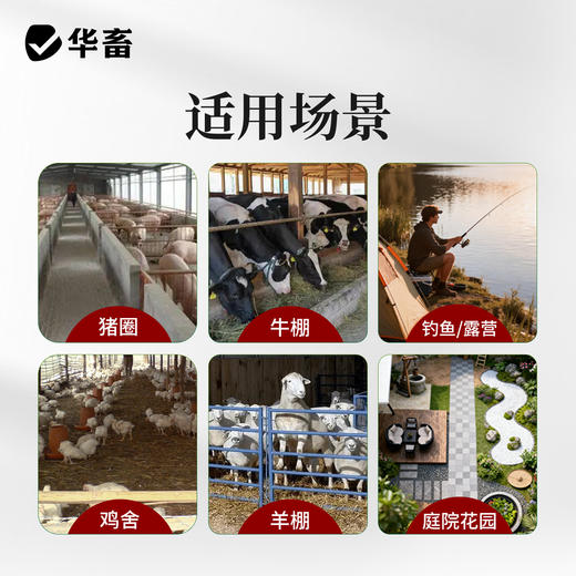 华畜通杀蚊香 蚊蝇蛾蚊香 快速灭害虫 摔不烂 燃烧时间约13小时 商品图5