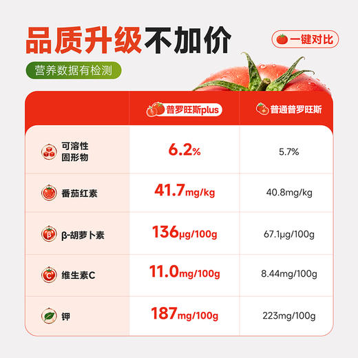 【顺丰】西域美农泾阳普罗旺斯西红柿plus 水果西红柿 商品图1