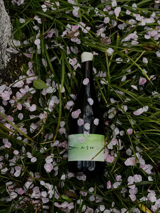 白葡萄酒 | 山风有信2025 商品图1