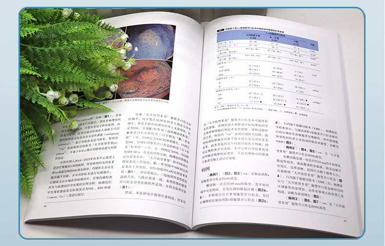 参考书1---蓝-恢复的_05.jpg
