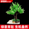 造景大师系列—唯美【迎春树】 随手一放即可绽放唯美！ 商品缩略图0