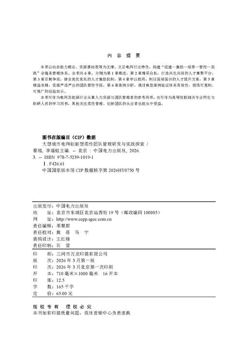 大型城市电网创新型柔性团队管理研究与实践探索 商品图3
