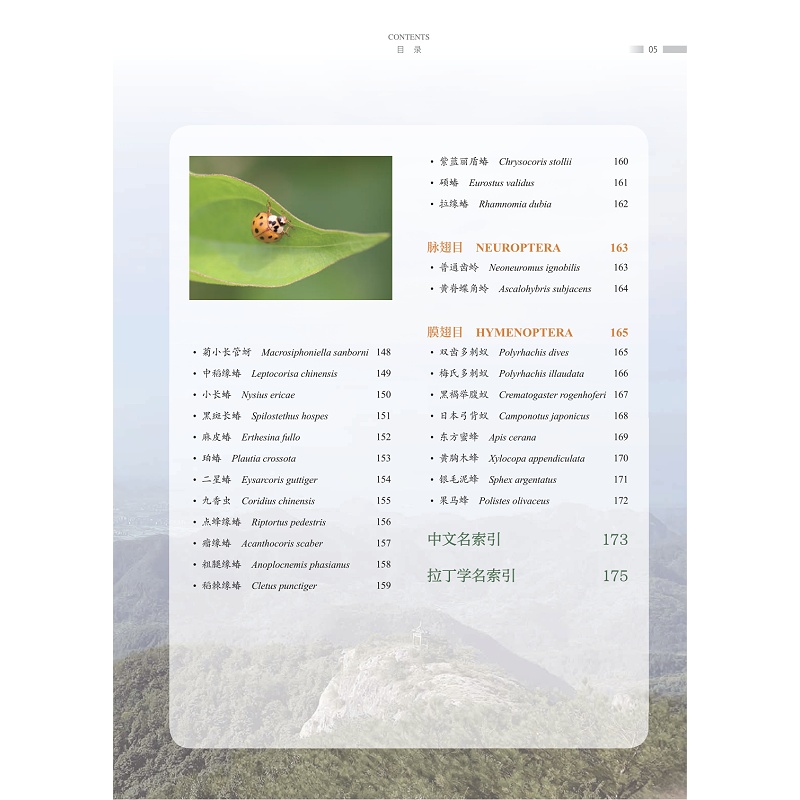 试读PDF-9787308270007(1-1)-永康野生动物图鉴 昆虫卷_015.jpg