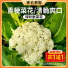 密云现砍散菜花 1斤 松散个大  脆嫩爽口 脆而不烂 商品缩略图0