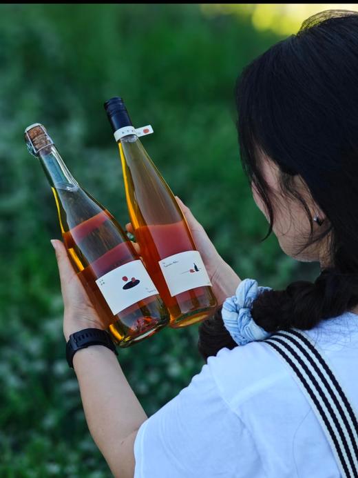 果酒 | 非杏即桃2024 商品图1