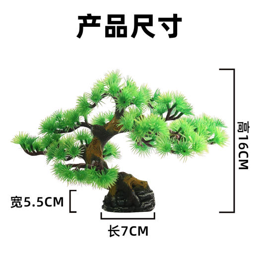 造景大师系列—唯美【迎客松】 随手一放即可绽放唯美！ 商品图2