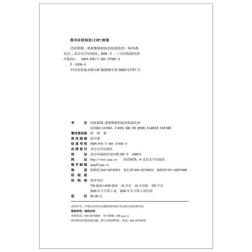 国家规模、要素集聚和技术发展优势  大国发展经济学系列  陈琦 著  北京大学出版社 商品图2