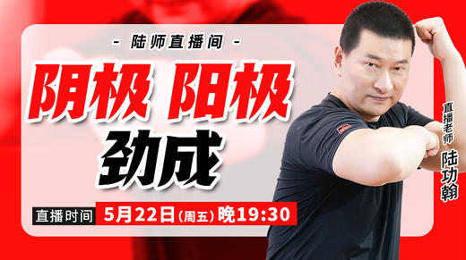 【5月22日】阴极，阳极，劲成 商品图0
