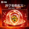 华畜通杀蚊香 蚊蝇蛾蚊香 快速灭害虫 摔不烂 燃烧时间约13小时 商品缩略图2