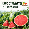 【顺丰！】西域美农 美都麒麟瓜西1个  甘甜多汁 商品缩略图2